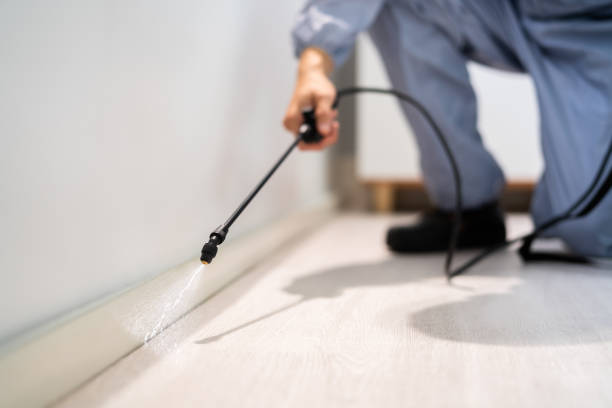 Licensed Pest Control service in Hooper, UT - Show Me Pest Control