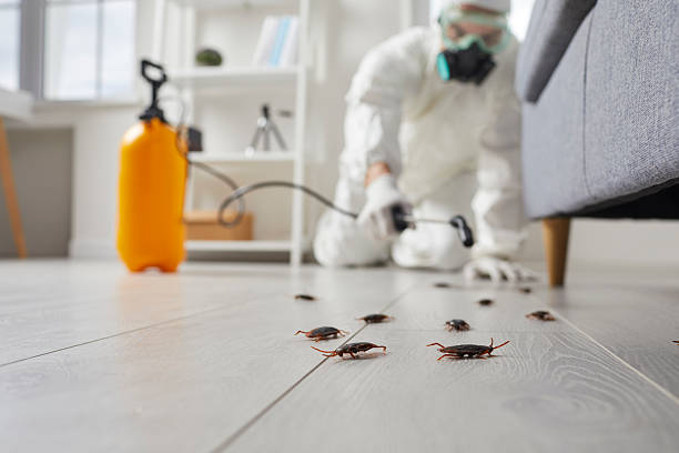 Post-Treatment Bed Bug Interceptor Monitoring in Hooper