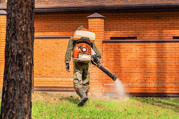 Bed Bug Clearance Verification and Documentation in Hooper